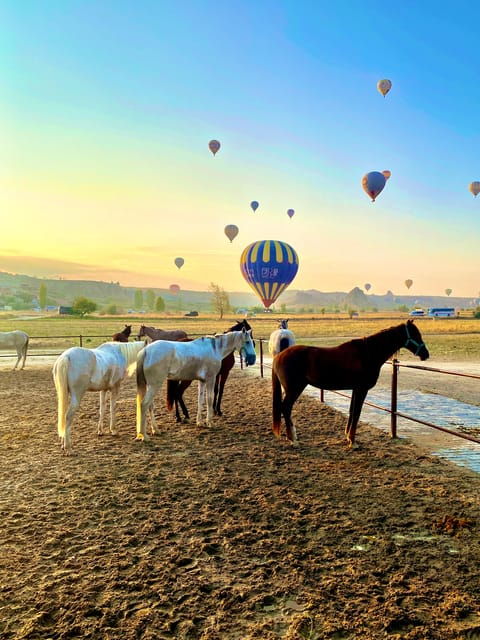 cappadocia-fascinating-horse-tour-in-goreme-valleys