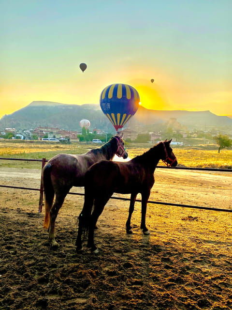 cappadocia-fascinating-horse-tour-in-goreme-valleys