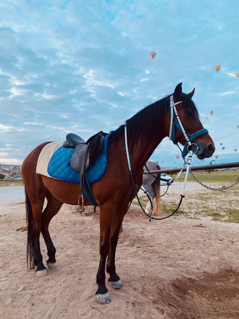 cappadocia-fascinating-horse-tour-in-goreme-valleys