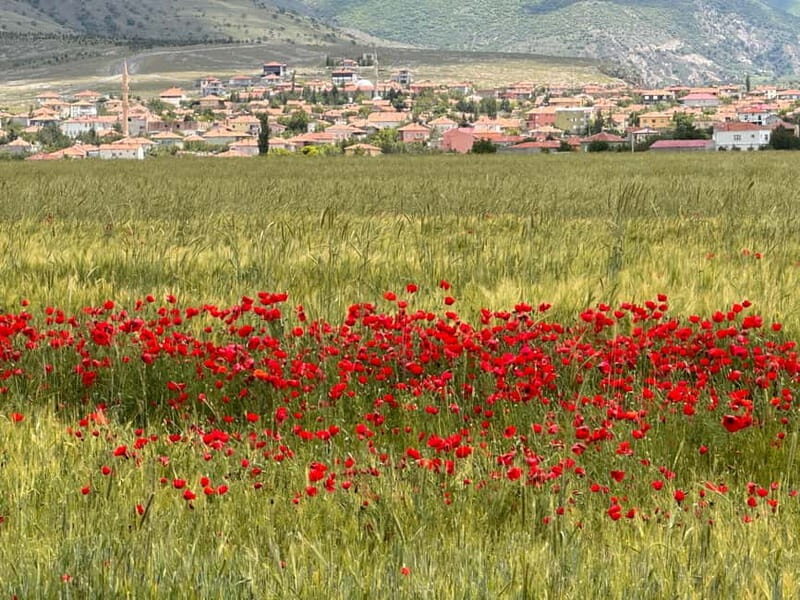 Cappadocia: Green Tour with Derinkuyu, Selime and Ihlara - FAQ