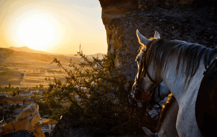 cappadocia-horse-riding-atv-quad-bike-shooting-with-camel