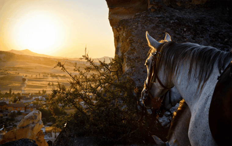 cappadocia-horse-riding-atv-quad-bike-shooting-with-camel