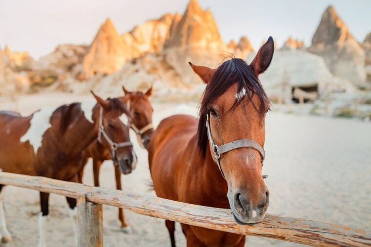 cappadocia-horse-riding-w-sunrise-sunset-option