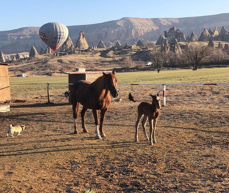 cappadocia-horseback-riding-tour-in-cappadocia-valleys