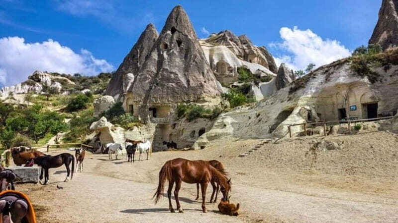Cappadocia Horseback Riding : Unique Exploration Horse Tour - The Experience: A Step-by-Step Breakdown