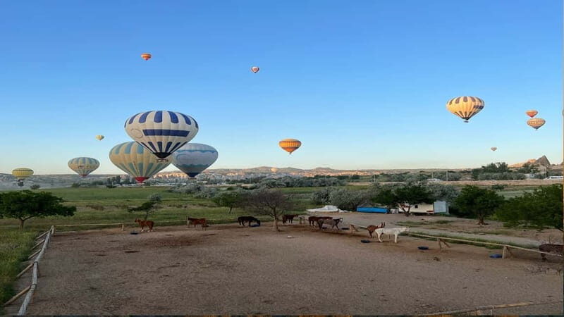 Cappadocia: Hot Air Balloon Flight with Hotel Pickup - The Practical Side: Transportation, Timing & Group Size