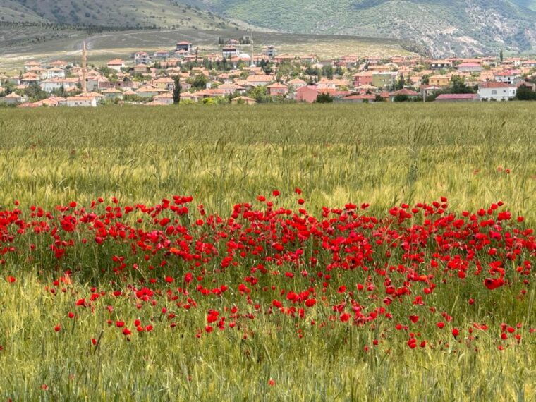 cappadocia-shared-private-tour-with-lunch
