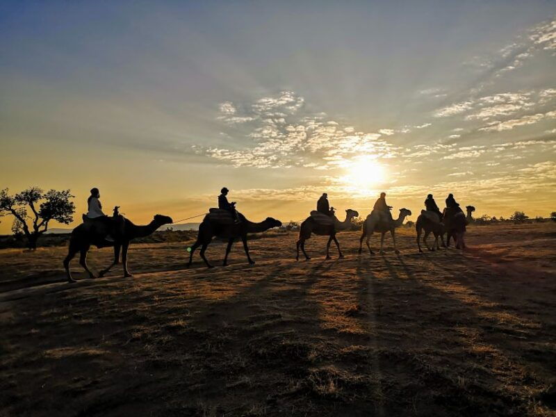 cappadocia-sunrise-camel-safari-2