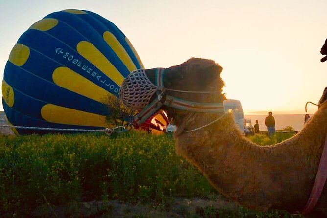cappadocia-sunrise-camel-safari