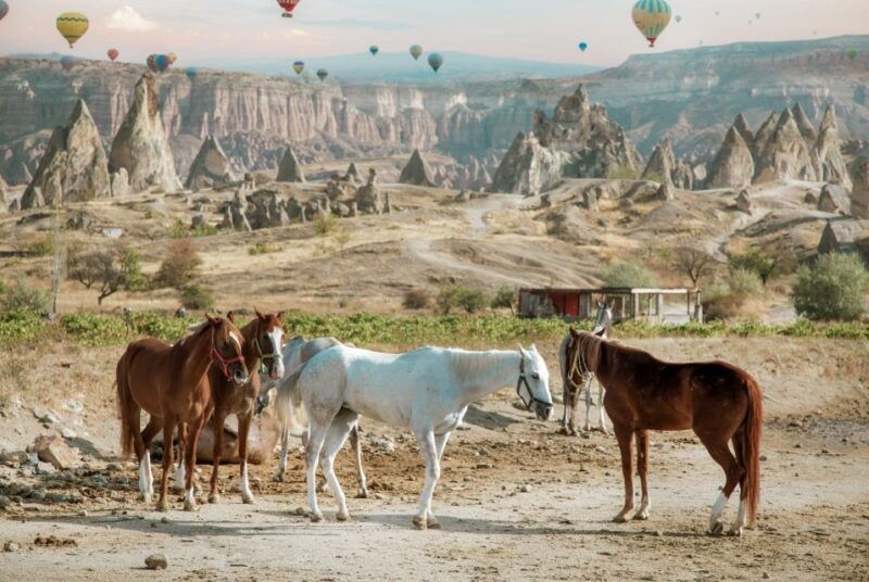 cappadocia-sunset-horseback-riding-tour