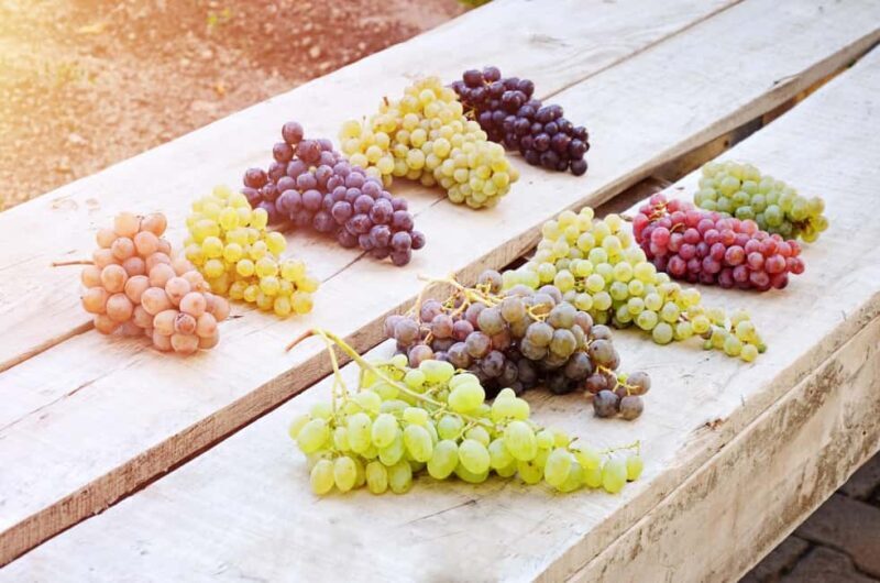 Cappadocia Wine Tasting Experience - Key Points  