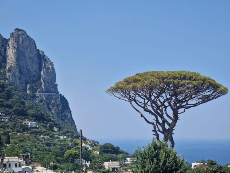 capri-anacapri-blue-grotto-small-group-tour