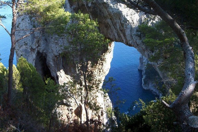 capri-and-blue-grotto-stress-free-day-tour-with-kids-from-sorrento