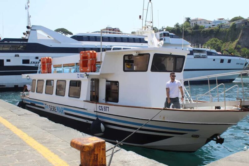 Capri: Blue Cruise with Guide from Sorrento, C.Stabia,Seiano - Who Should Consider This Tour?  