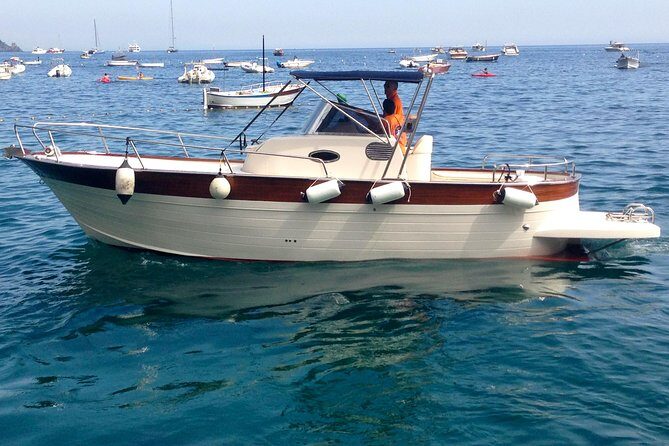 Capri & Blue Grotto Small Group Full-Day Boat Tour from Positano - Who Is This Tour Best For?