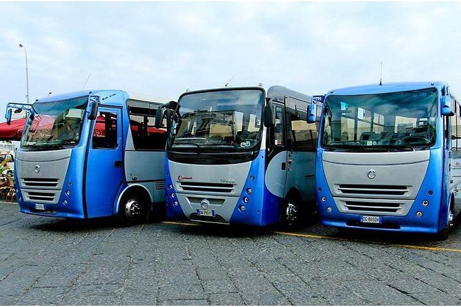 capri-diy-day-trip-package-boattour-bluegrottobuslunch