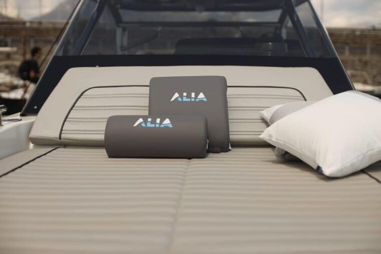 capri-premium-boat-tour-from-agropoli