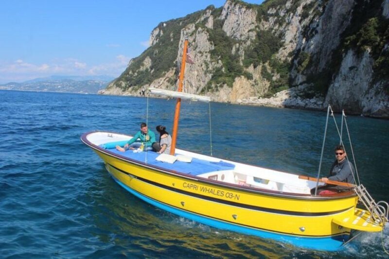Capri Private Boat Tour from Capri (3 hours) + Blue Grotto - Who Is This Tour Best For?