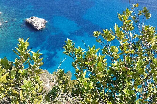 capri-private-full-day-tour-from-rome