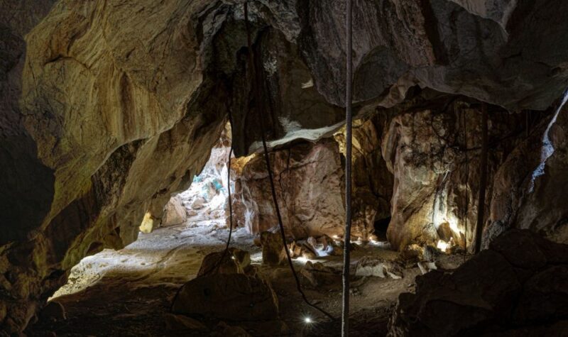 Capricorn Caves, Australia: 45-Minute Cathedral Cave Tour - Key Points  
