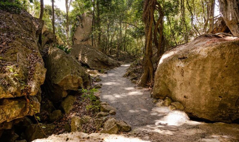 Capricorn Caves, Australia: 45-Minute Cathedral Cave Tour - An Introduction to Capricorn Caves