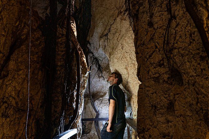 Capricorn Caves Cathedral Cave Tour - In The Sum Up