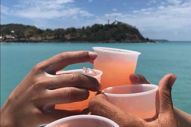 captain-alans-4hr-3-islands-snorkeling-turtles-beach-adventure