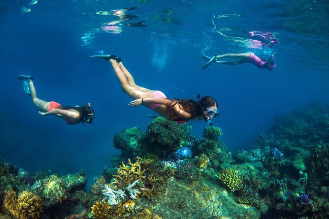 Captain Cook Cruises Fiji - Island and Reef Day Cruise - An In-Depth Look at the Tour Experience