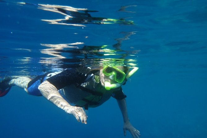 captain-cook-snorkeling-cruise-departs-from-honokohau-harbor