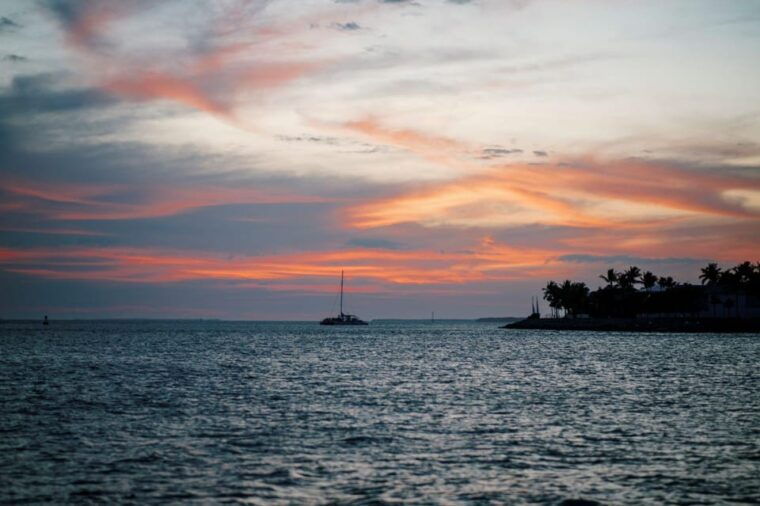 captains-choice-dolphin-watch-sunset-sail