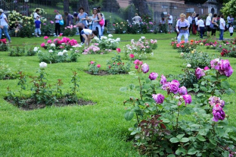 captivating-pearls-of-rome-family-walking-tour