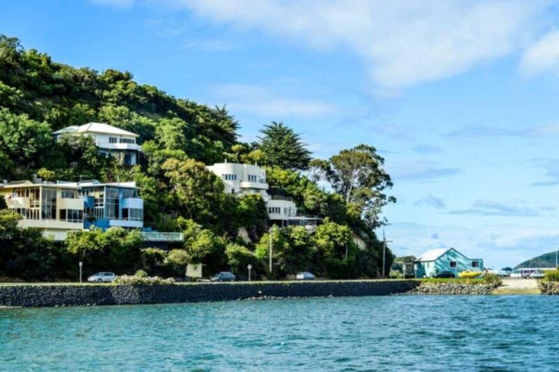 Captivating Side of Dunedin Walking Tour for Couples - Additional Details & Tips