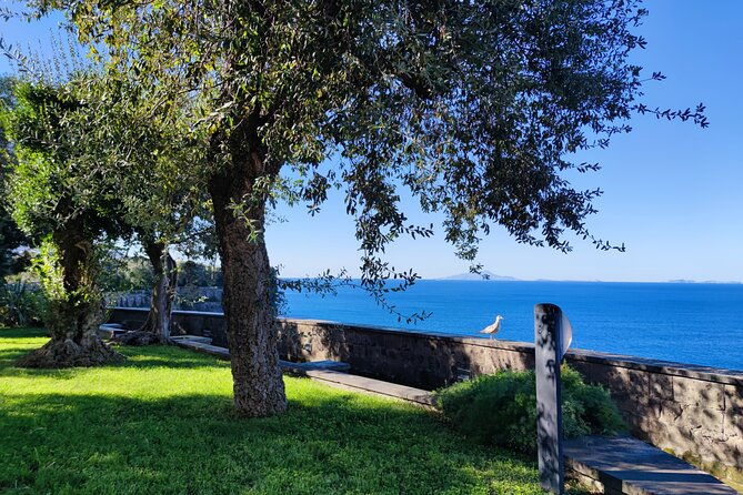 car-tour-off-the-beaten-track-admiring-capri-and-positano-from-above