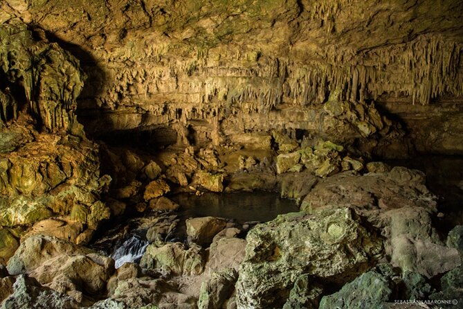 caracol-maya-ruins-tour-including-rio-on-pools-rio-frio-cave-and-a-picnic-lunch