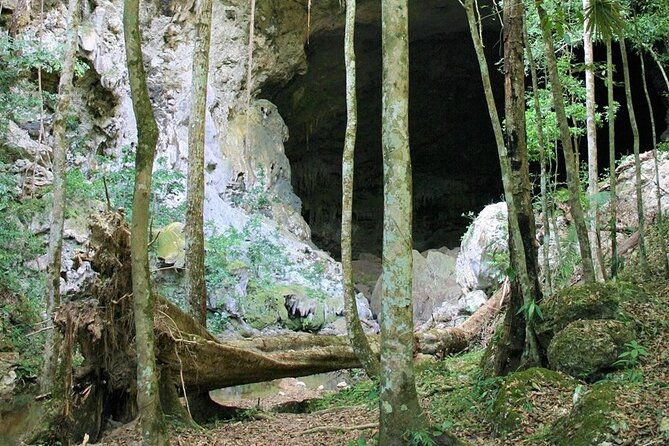 caracol-mayan-ruins-rio-on-pools-and-rio-frio-cave-tour-in-belize