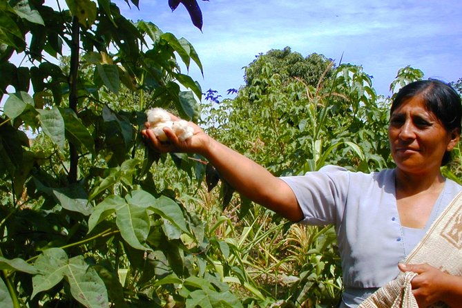 caral-ancient-pyramids-full-day-from-lima-private-trip