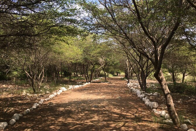 caral-the-first-civilization-in-the-americas-private-full-day-tour