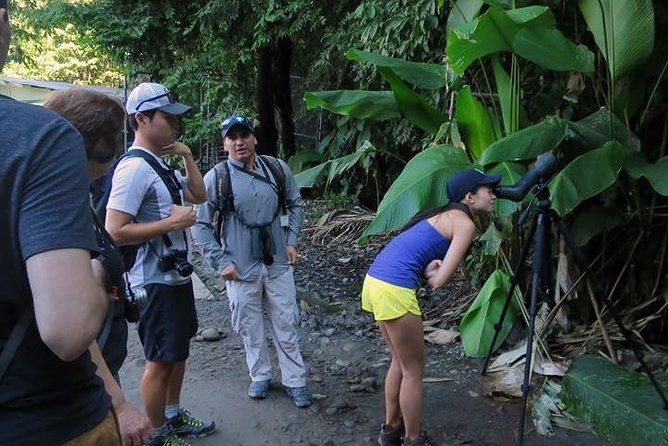 carara-national-park-birdwatching-private-guided-tour-experience