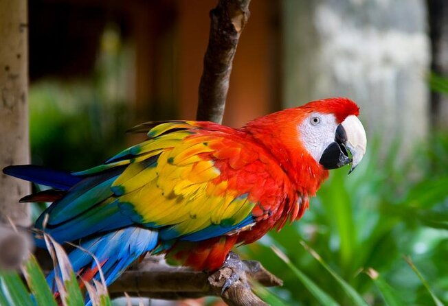 carara-national-park