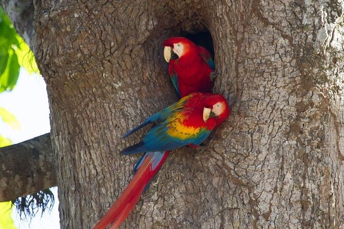 carara-national-park