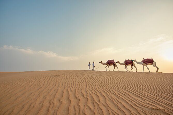 Caravanserai Exclusive Safari - What to Expect from the Itinerary