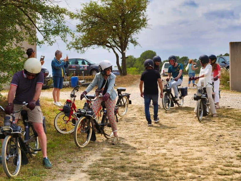 Carcassonne: Solex ride with guide and wine tasting - Key Points