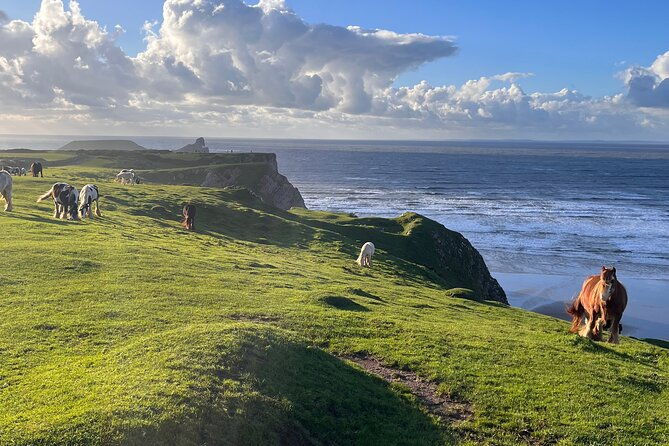 cardiff-gower-peninsula-finest-cliffs-of-south-wales-day-tour