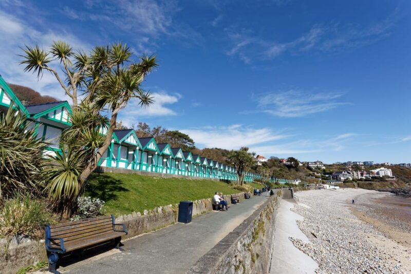 cardiff-gower-peninsulas-cliffs-bays-scenic-day-tour