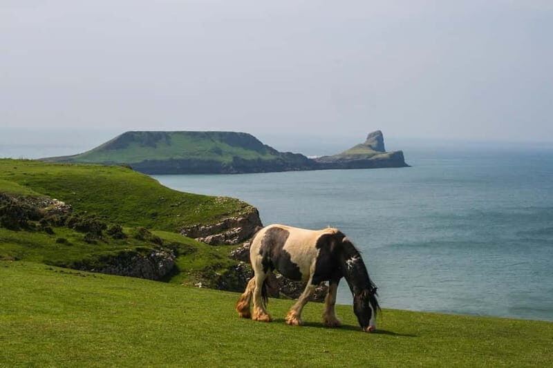 Cardiff: Private Day Tour Gower's Cliffs & Beaches - Key Points