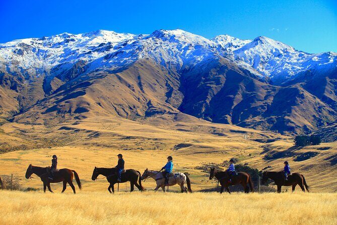 Cardrona High Country Pub Trail Horse Trek (Intermediate level+) - Horses, Guides, and Safety