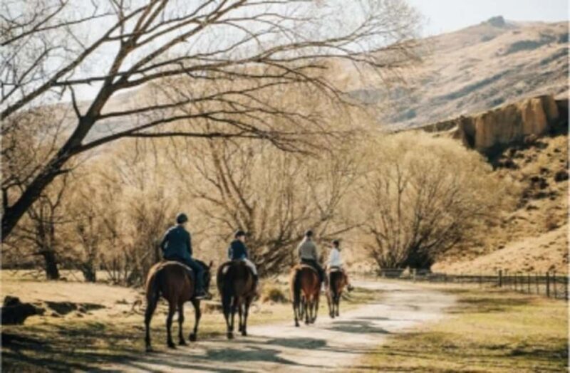 Cardrona Valley: Horse Trekking Experience - The Authenticity of the Experience