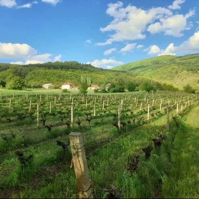 Careva Distillery: Taste Macedonian Brandies, Wines & Nature - Who Should Consider This Tour?