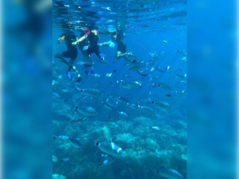 cargese-capo-rosso-snorkeling-and-sea-cave-tour