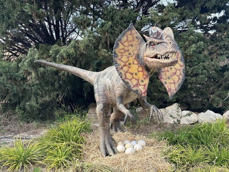 Carini: admission ticket to the Biopark of Sicily - The Sum Up